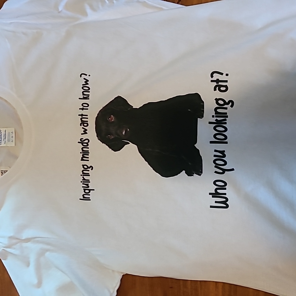 Funny Ladies T-shirt - Picture 2 of 3